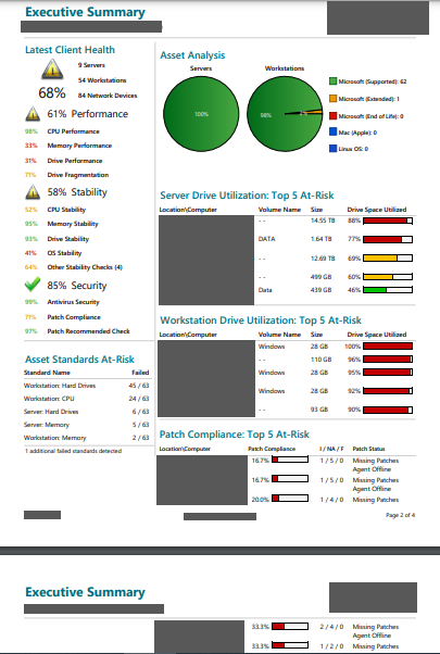 connectwise automate executive summary former format