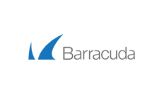 barracuda